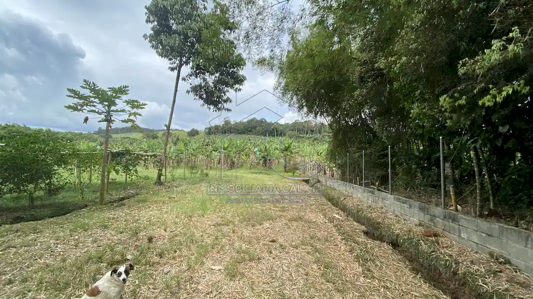 Finca La Esperanza